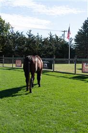 LR-WRF 10182025 Retreat-6564